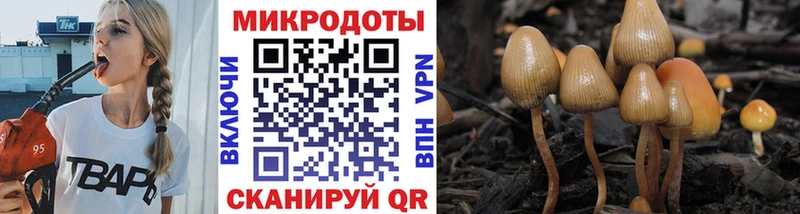 darknet официальный сайт  Рославль  Галлюциногенные грибы Cubensis 