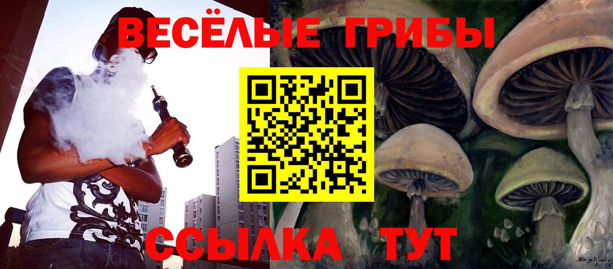 Псилоцибиновые грибы Psilocybine cubensis Рославль