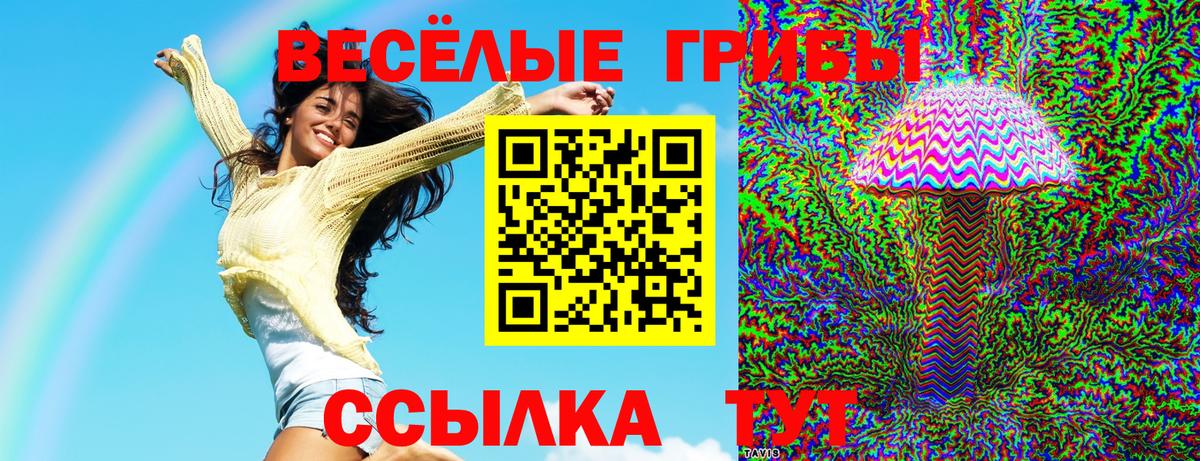 Псилоцибиновые грибы Psilocybine cubensis  Рославль 